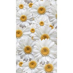 AG ART Záves Daisy, 140 x 245 cm