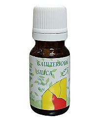 Gaulteriová silica 10ml
