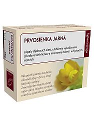 Hanus prvosienka jarná kvet 35g