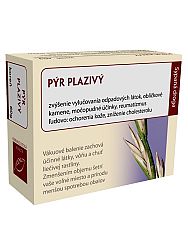 Hanus pýr plazivý koreň vňať 60g