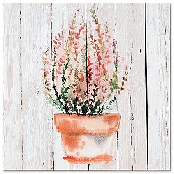 Obraz na plátne Calluna, 28 x 28 cm