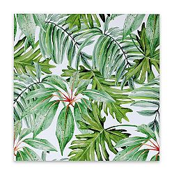 Obraz na plátne Rainforest, 50 x 50 cm