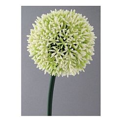 Umelá kvetina Cesnak biela, 68 cm