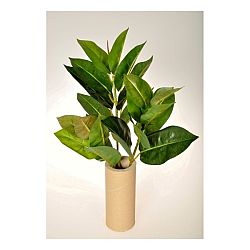 Umelá kvetina Ficus Elastica, 45 cm