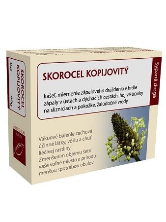 Hanus skorocel kopijovitý list 40g