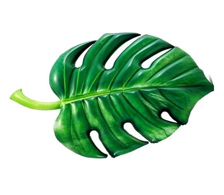 Nafukovacie lehátko - palmový list