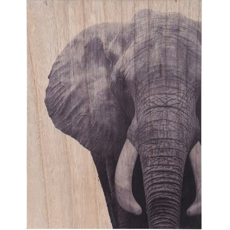 Obraz na dreve Elephant, 28 x 38 cm