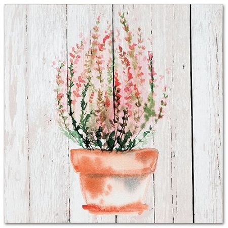 Obraz na plátne Calluna, 28 x 28 cm