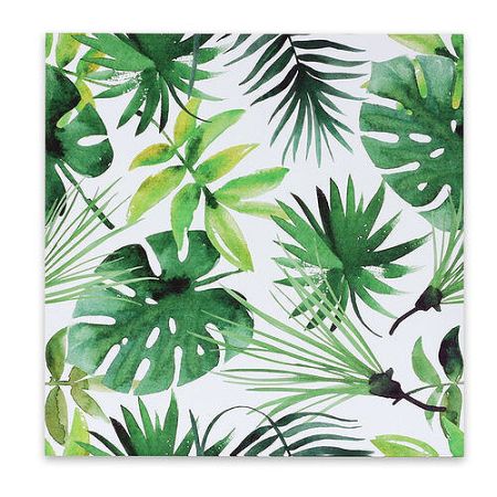 Obraz na plátne Jungle, 50 x 50 cm