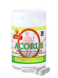 Agrokarpaty Acorus kapsule proti páleniu záhy 30 kapsúl