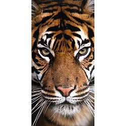 Jerry Fabrics Osuška Tiger, 70 x 140 cm