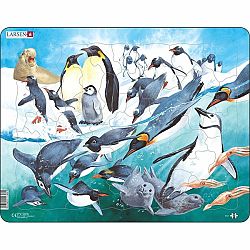 Larsen Puzzle Tučniaky, 50 dielikov